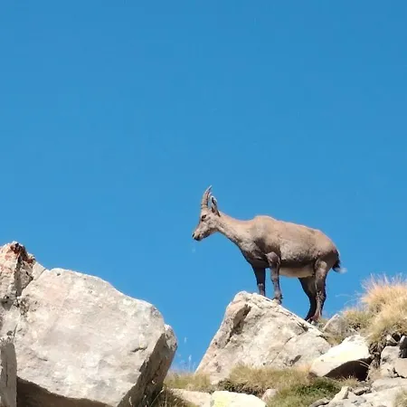 La Petite Cascade 아파트