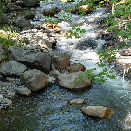 아파트 La Petite Cascade 라포