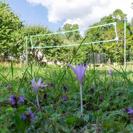 아파트 La Petite Cascade 라포