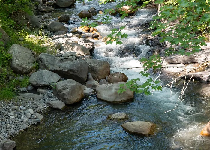 아파트 La Petite Cascade 라포