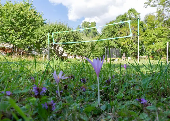 아파트 La Petite Cascade 라포